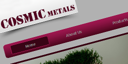 Cosmic Metals